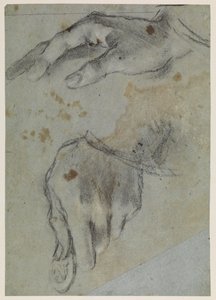 Studien von Händen, recto, 16. Jahrhundert