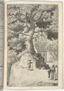 Buchenbaum mit der Glocke [Tafel X] von Jacopo Ligozzi