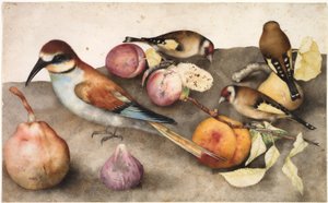 Stillleben mit Vögeln und Früchten von Jacopo Ligozzi
