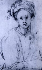 Studie eines jungen Mädchens (Kreidezeichnung) von Jacopo Pontormo