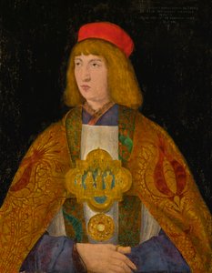 Albrecht von Brandenburg von Jacopo de