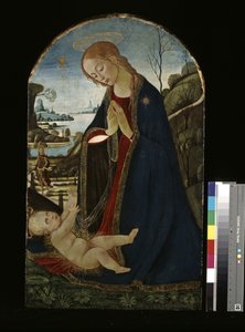 Madonna, die das Christkind anbetet von Jacopo del Sellaio