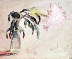 Eine Chrysantheme in einer Flasche von Jacqueline Marval