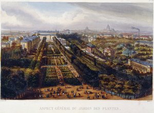 Ansicht des Jardin des Plantes - Lithografie von Testard von Jacques Alphonse (after) Testard