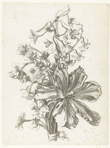 Blumenstrauß mit einer Tulpe, einer Hyazinthe, Brodiaea und Narzissen von Jacques Bailly (I)