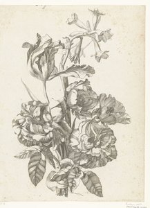 Blumenstrauß mit Pfingstrosen, einer Tulpe und einer Brodiaea von Jacques Bailly (I)