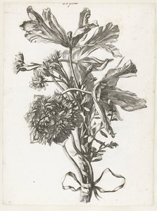 Blumenstrauß mit verblühten Tulpen, einer Anemone und Immortellen (Diverses Fleurs mises en Boucquets) von Jacques Bailly (I)