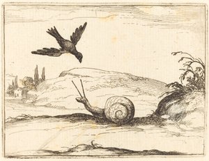 Krähe und Schnecke von Jacques Callot