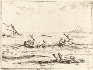 Delfine und Krokodil von Jacques Callot