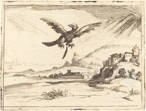 Adler verliert eine alte Feder von Jacques Callot