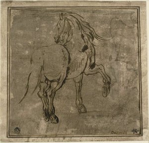 Pferd, von hinten im Dreiviertelprofil gesehen