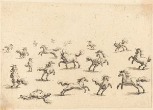 Pferde im Galopp