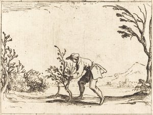 Mann, der einen Balsambaum schneidet von Jacques Callot