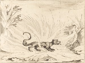 Salamander umgeben von Flammen