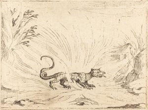 Salamander umgeben von Flammen