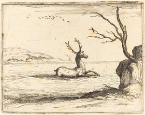 Hirsch im Wasser von Jacques Callot