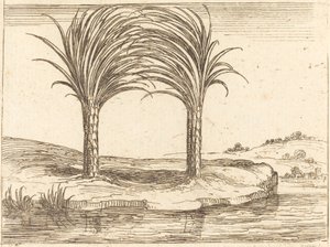 Zwei Palmen von Jacques Callot