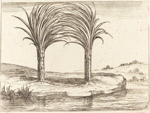 Zwei Palmen von Jacques Callot