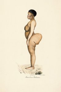 Frau der Boschman-Rasse im Profil von Jacques Christophe Werner