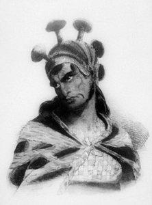 Hawaiianischer Krieger mit einem Helm mit Pilzverzierter Kamm, 1819
