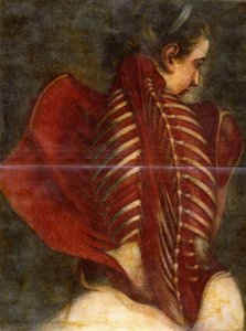 Der gehäutete Engel, ca. 1745 von Jacques Fabien Gautier dAgoty