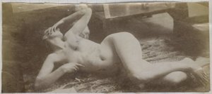 Studie eines weiblichen Aktmodells, auf einem Tigerfell liegend, im Atelier von Jacques de Lalaing