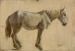 Studie eines grauen Pferdes von Jacques Laurent Agasse