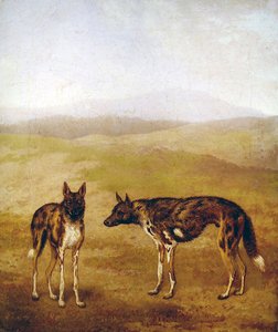 Zwei afrikanische Jagdhunde von Jacques Laurent Agasse
