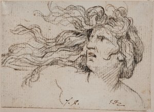 Frauenkopf mit fliegendem Haar von Jacques Louis David