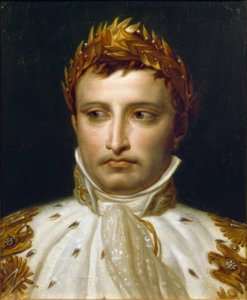 Napoleon I. im Krönungsornat von Jacques Louis David