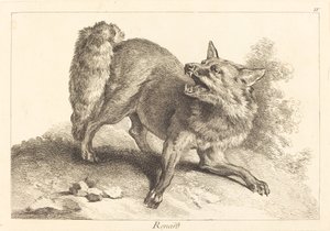 Fuchs