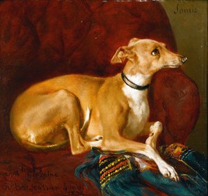 Ein Windhund ruht auf einem Stuhl von Jacques Raymond Brascassat