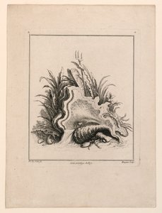 Wappenschild, aus "Recueil Nouveau de Differens Cartouche" von Jacques de Lajoüe