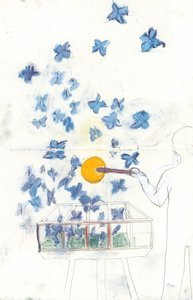 Schmetterlingsträume von Jacqui Orly Ammon