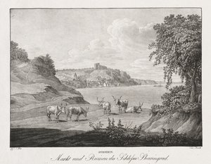 Syrmien, Markt und Ruinen des Schlosses Sharengrad