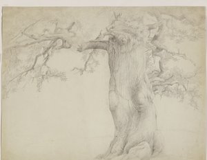 Alter Baum von Jakob Becker