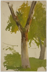 Baum von Jakob Becker
