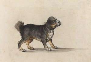 Ein Mastiff mit goldverziertem Halsband von Jakob Walther