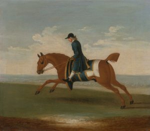 Kastanienbraunes Rennpferd, trainiert von einem Trainer in blauer Jacke von James (attr.) Seymour