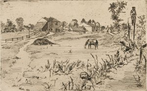 Landschaft mit Pferden
