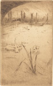 Schwan und Iris, veröffentlicht 1883