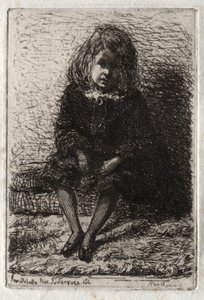 Zwölf Radierungen aus der Natur, 1858