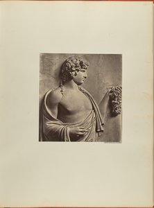 Antinous, Basrelief der Stadt Albani von James Anderson