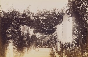 Garten - Capri von James Anderson