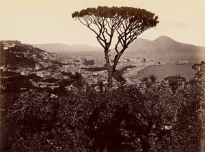 Panorama von Neapel von James Anderson