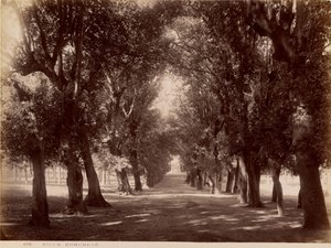 Villa Borghese von James Anderson