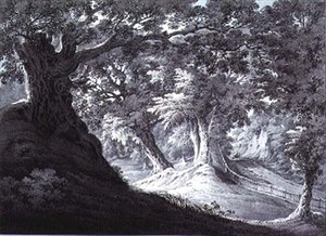 Beddington, Surrey von James Bourne