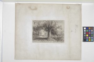 Landschaft