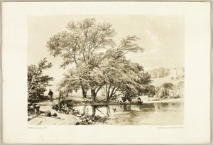Gemeine Weide, aus Der Park und der Wald von James Duffield Harding