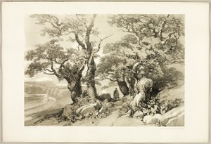 Alte Eichen, aus Der Park und der Wald von James Duffield Harding